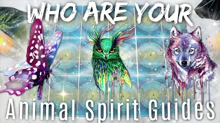 Who Are Your Animal Spirit Guides? + Their Messages! • PICK A CARD •