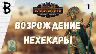 Total War: Warhammer 3 Immortal Empires Двор Либараса, Царица Халида #1 "Возрождение Нехекары"