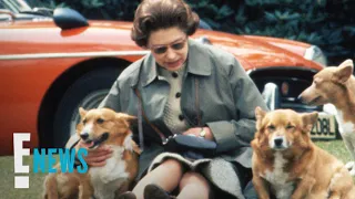 What Will Happen to Queen Elizabeth II's Beloved Corgis? | E! News