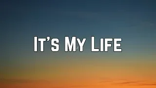 Talk Talk - It's My Life (Lyrics)