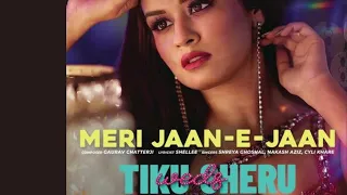 Meri Jaan-E-Jaan  | Tiku Weds Sheru | Shreya Ghoshal | Nakash Aziz | Nawazuddin