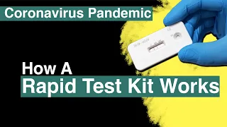 Coronavirus in India: How A Rapid Test Kit Works