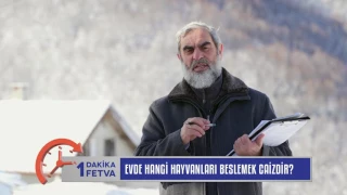 EVDE HANGİ HAYVANLARI BESLEMEK CAİZDİR? & NUREDDİN YILDIZ