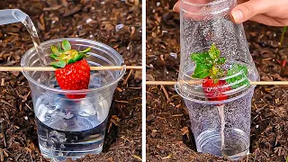 Incredible Gardening Tips And Tricks That Actually Work