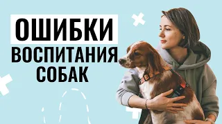 5 ГЛАВНЫХ ОШИБОК В ВОСПИТАНИИ собак, которые мешают достичь результатов!