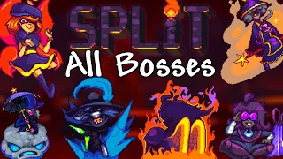 Terraria SPLIT MOD ALL BOSSES! (new update!)