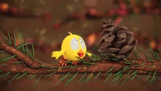 Where's Chicky? 🌲 CHICKY IN THE FOREST 🌳 Cartoon in English for Kids | New episodes