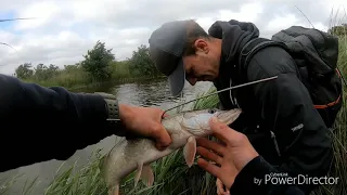 ВОТ ЭТО РЫБАЛКА!!!! НАРВАЛИСЬ НА КИЛОГРАММОВЫХ ГОРБАЧЕЙ И ЩУК В РУЧЬЕ!!!!