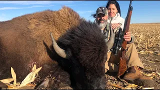 Buffalo Hunting North Dakota
