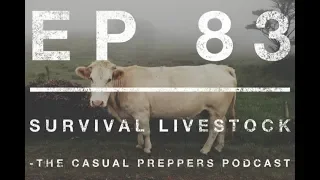 Survival Livestock - Ep 83 - The Casual Preppers Podcast