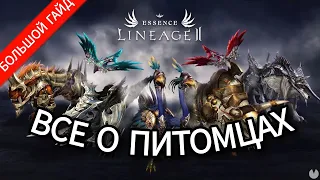 ВСЕ О ПИТОМЦАХ Lineage 2 Essence 2023 / БОЛЬШОЙ ГАЙД / РАЗБЕРЕМ КАЖДУЮ КОСТОЧКУ