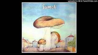 Sameti ► Big Fat Brother Joint [HQ Audio] 1972