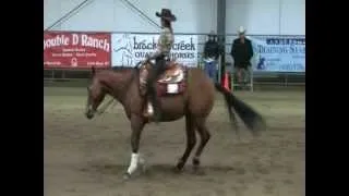 Shiney Oak - Yellowstone Slide I Short Stirrups 2013