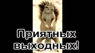 Смешные видео приколы