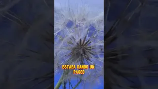 Esfera Gigante de Diente de León 🌼✨