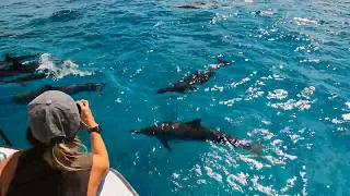 The Adventure Boat - Best Private Charters in Honolulu