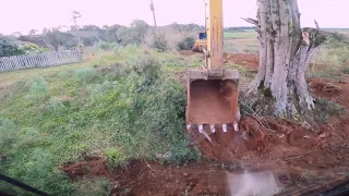 Escavadeira Hidráulica derrubando árvores