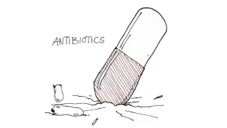 Why do some antibiotics fail; animation about antibiotic resistance