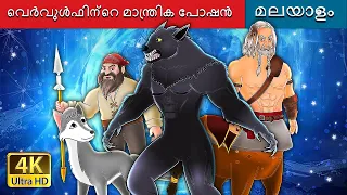 വെർവുൾഫിന്റെ മാന്ത്രിക പോഷൻ | Werewolf's Magic Potion in Malayalam | @MalayalamFairyTales