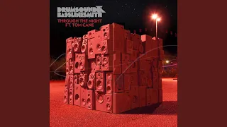 Through The Night (Horx & P3000 Remix)