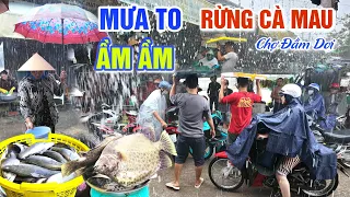 BẤT NGỜ MƯA TO KHÓC LIỆT BÀ CON BỎ CHẠY TÁN LOẠN Ở CHỢ ĐẦM DƠI - CUỘC SỐNG XỨ RỪNG CÀ MAU