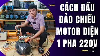 Cách Đấu Đảo Chiều Motor 1 Pha 220v Bằng Đầu Bấm Thông Qua Khởi Động Từ, Cực Dễ Ai Cũng Đấu Được