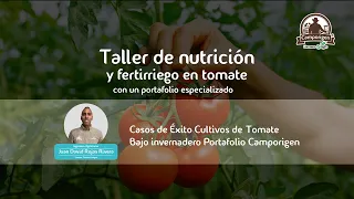 Casos de Éxito Cultivos de tomate bajo invernadero, Portafolio Camporigen