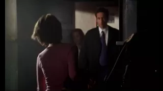 The X-files (Scully & Mulder) - Jealousy