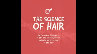 Structure of Hair Review