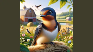 The Barn Swallow (Hirundo rustica) Song for Kids (Educational)