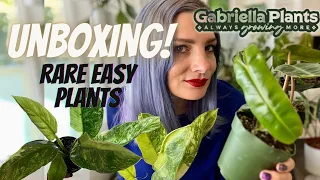 The BEST Planterina Alternative: Unboxing Rare Easy Plants