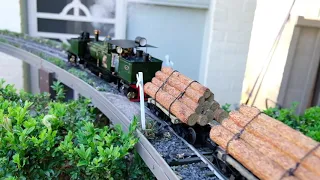 Gauge 1 live steam of various scales and prototypes.