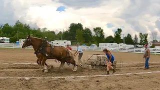 HORSE PULL DAY at the Gouverneur Fair!!