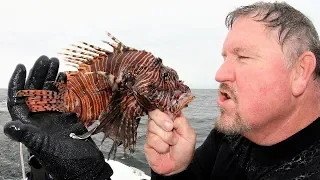 2019Feb28 LionFish Hunting off Pensacola on the Southern Spear-It