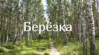 От Этой Песни Замирает Сердце!!! Николай Засидкевич - Берёзка.