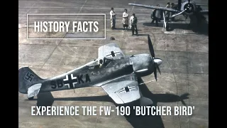 Uncovering the Hidden History: Experience the FW-190 'Butcher Bird' as Never Before!