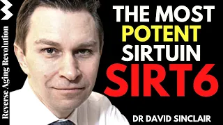 SIRT6 - The MOST Potent SIRTUIN  | Dr David Sinclair Interview Clips