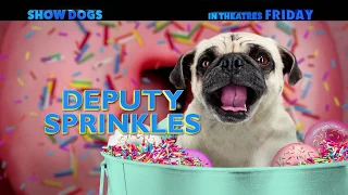 Show Dogs - Meet Sprinkles - Now Playing!