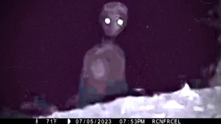 Most Disturbing Creatures Caught on Trail Cam 2023