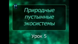 Экосистемы пустынь. Урок 5. Типы растительности