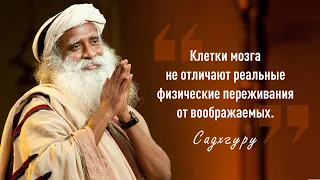 Садхгуру "Иди туда, где страшно. Именно там ты обретешь силу" Мудрые цитаты.