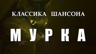 МУРКА (классика шансона)