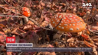 Мухомори проти раку: у Дніпропетровській області жінку шпиталізували з тяжким отруєнням
