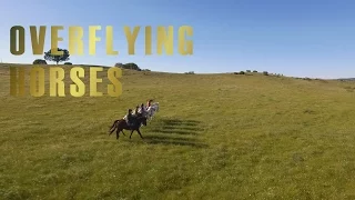 Drone DJI Inspire One aerial footage : Horses Galloping