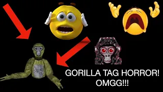 Мы с другом зашли в Gorilla Tag но...