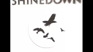Shinedown - Lost In The Crowd (Acoustic Version)