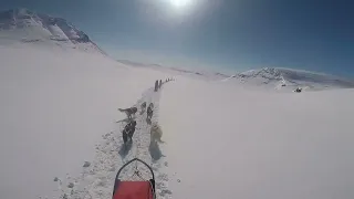 Norway dogsledding to the Three-Country Cairn (Sweden, Finland, and Norway)