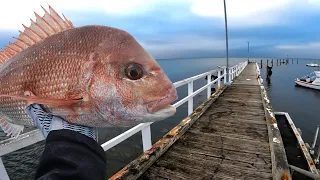 Land Based Pier and Jetty Fishing For Snapper !!