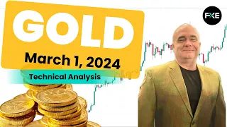 Gold Daily Forecast and Technical Analysis for March 01, 2024, by Chris Lewis for FX Empire