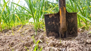 How to take a Soil Sample on your farm, by the Agricultural Research Council of South Africa